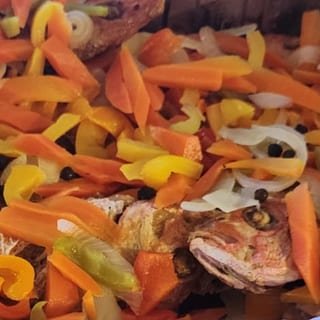 Escovitch Fish Tray
